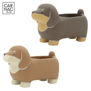 ■カルナック■■SALE■■多肉アイテム■　プランタン　ドッグ　B