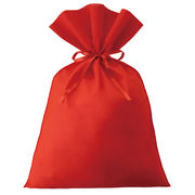 ソフトバッグベーシックS9厚　2穴巾着　690W×742H　3色展開