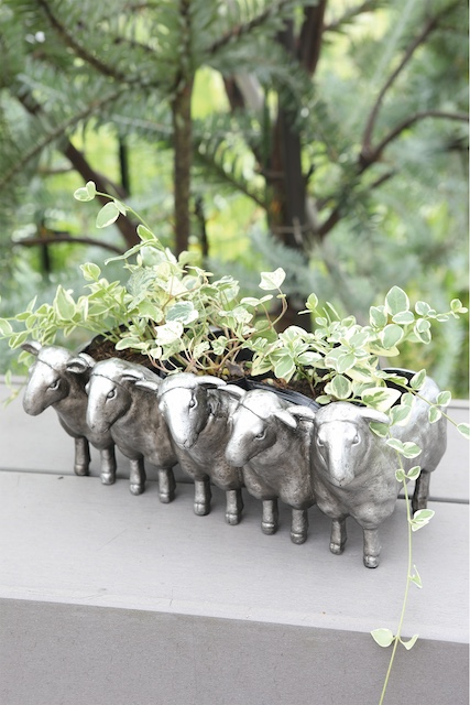 [専用出品]K-plants0907 タクト ECOPLANTS Cセット/4号吊鉢 : DCMオンライン - 通販