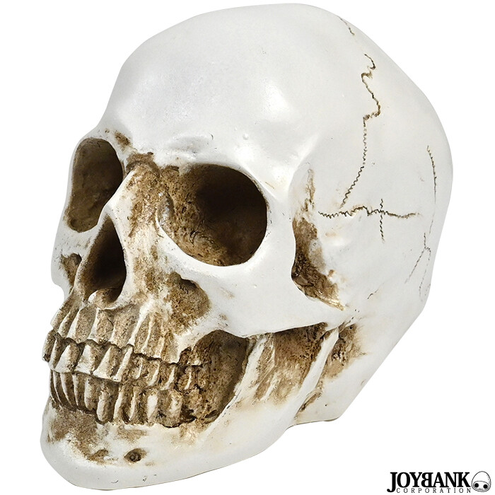 髑髏 頭蓋骨 の置き物 骨董品 陶器製？ Yahoo!オークション - 時代髑髏 置物 陶器製 /しゃれこうべ