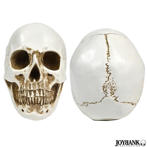 髑髏 頭蓋骨 の置き物 骨董品 陶器製？ Yahoo!オークション - 時代髑髏 置物 陶器製 /しゃれこうべ 頭蓋骨 ド