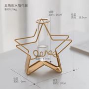 北欧風 ガラス管水耕花瓶（ペンタゴン）