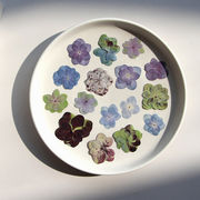 押し花 レジンパーツ ドライフラワー アクセサリーパーツ アジサイ ハンドメイド 封入 スマホケース 手芸