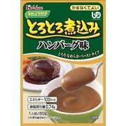 ハウスギャバン やさしくラクケア とろとろ煮込み ハンバーグ味