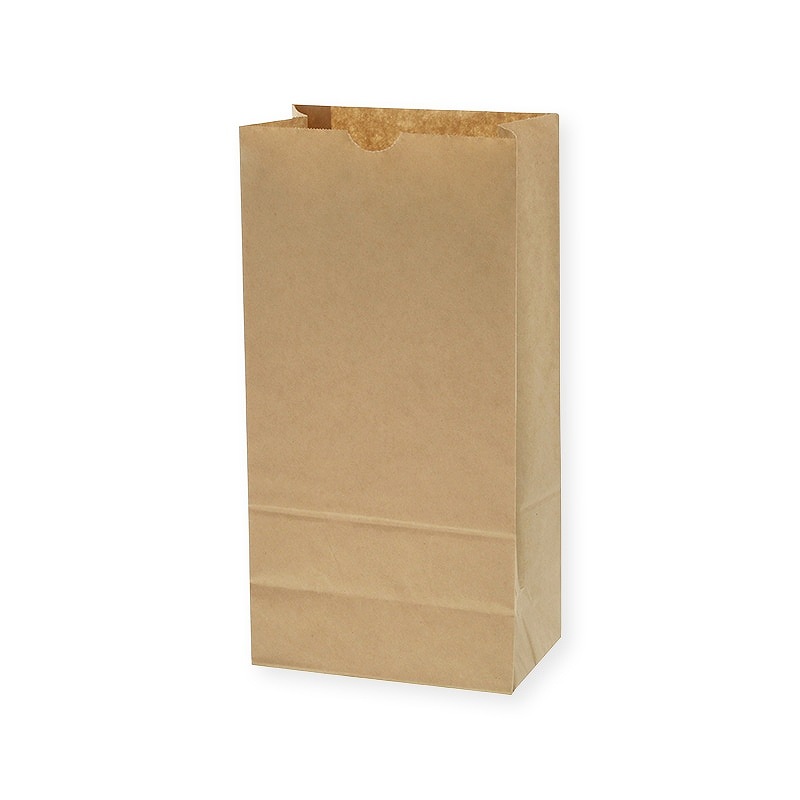 HEIKO 紙袋 角底袋 No.12 未晒無地 100枚/袋 クラフト シモジマ