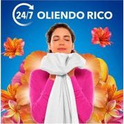 NEW　メキシコダウニー　エキゾチック　2800ｍｌ