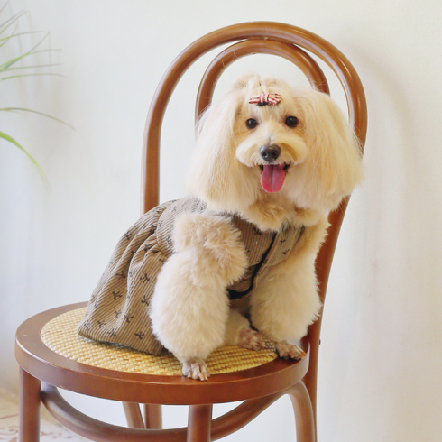 韓国　新作　 犬服　ペット 服　ペット　犬 服　猫服　ペット用品　ネコ雑貨　犬 ベッド　クリスマス