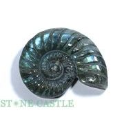 ☆一点物☆【彫刻置物】アンモナイト ラブラドライト (EX) No.37