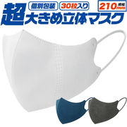 超大きめ立体マスク　個別包装　30枚入り 横幅210mm