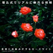 バラソーラーライト