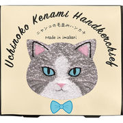 Ｕｃｈｉｎｏｋｏ　ｍａｔｅ　毛並みハンカチハチワレ