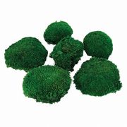 【2026年SS新作】プリザーブドフラワー　苔　ポールモス大袋DKG150ｇFL000824-730