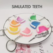 サンプル キーホルダー アクセサリー キーチェーン 展示 撮影 SIMULATED  歯