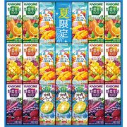 カゴメ すこやかサマーバラエティギフト KYJ-30S