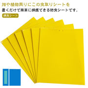 【50枚セット】 虫よけ 粘着シート ハエ取り紙 コバエ取り 粘着トラップ 粘着マット コ