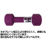ネオプレーンダンベル 2kg