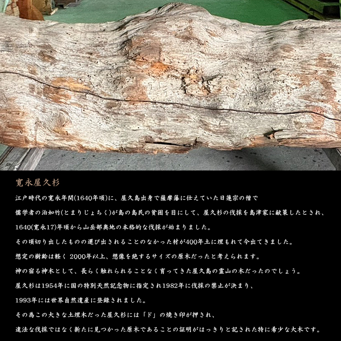 寛永 屋久杉 12mm ブレスレット 鹿児島県産 KANEI YAKUSUGI 薩摩藩伐採